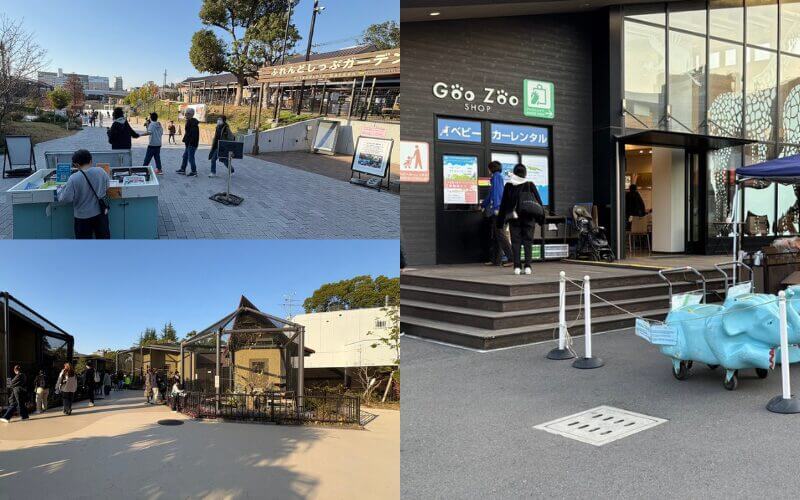天王寺動物園の園内。広くてきれいに整備された通路
