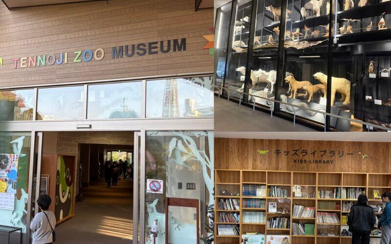 天王寺動物園のキリン。次男が「なんで首が長いの?」と質問