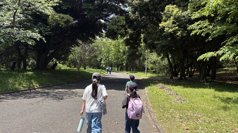 大泉緑地 公園内の様子