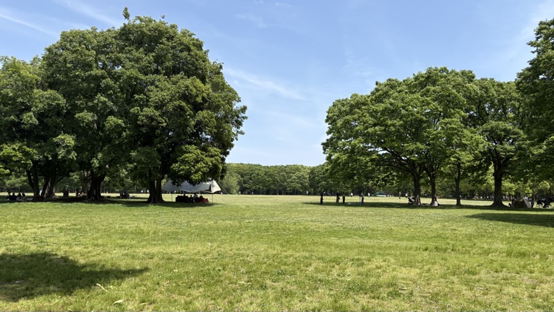 大泉緑地 広大な芝生広場