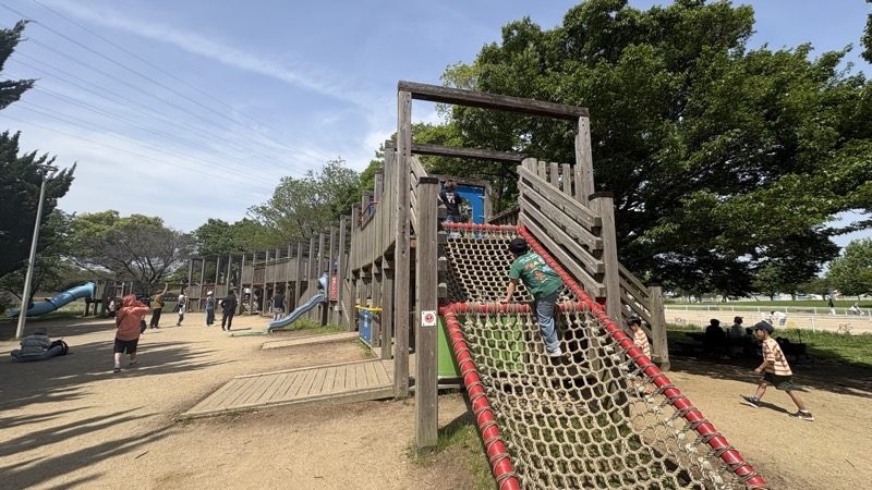 大泉緑地 木製大型アスレチック
