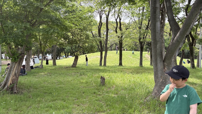 大泉緑地 木漏れ日の緑の丘